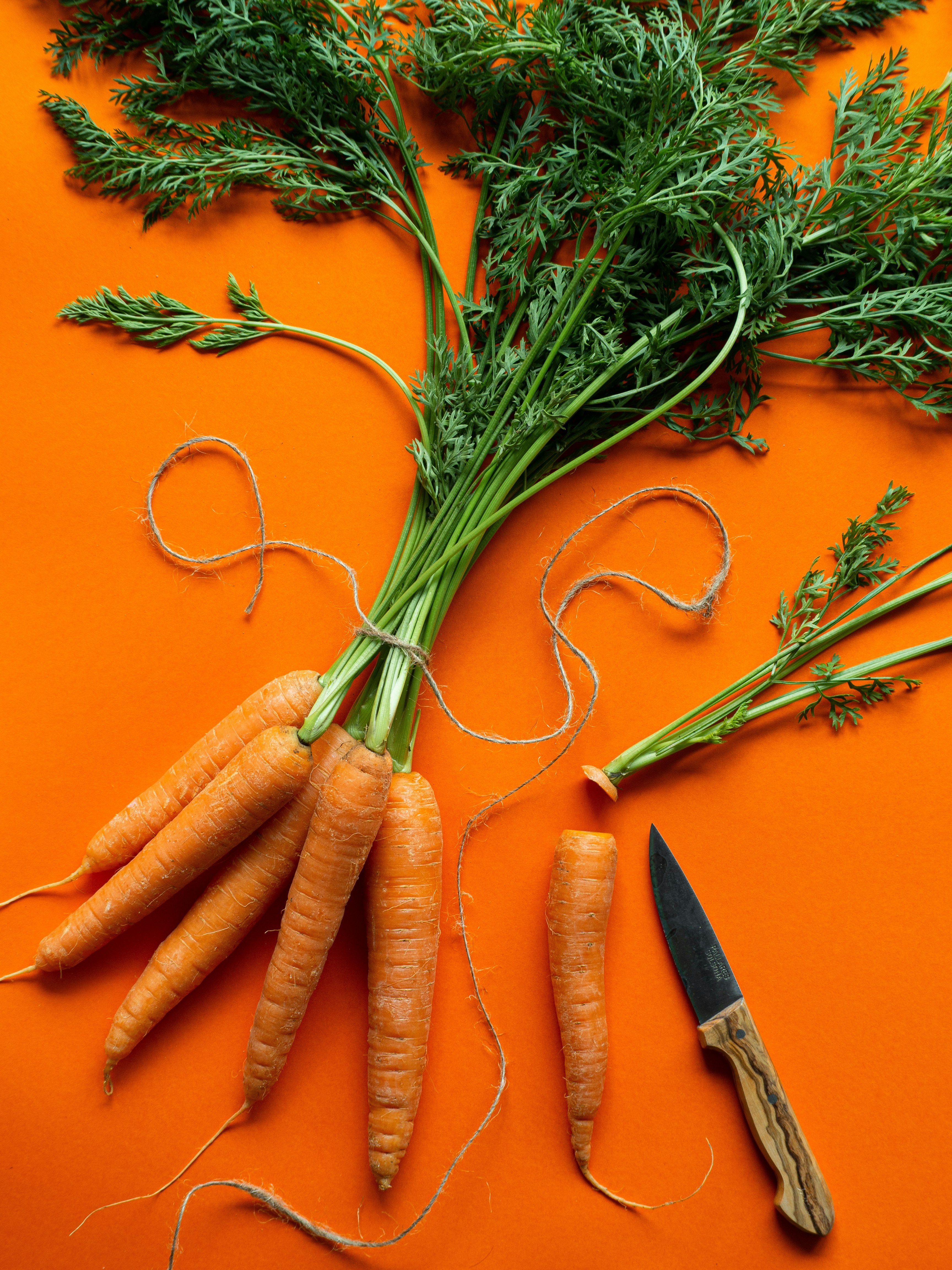 Photo d'une botte de carottes et d'un petit couteau de cuisine